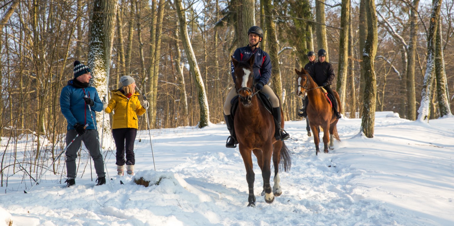 palazzo maniero hotel ristorante alloggi appartamenti camere in Polonia Masuria